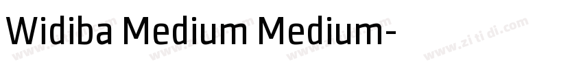 Widiba Medium Medium字体转换